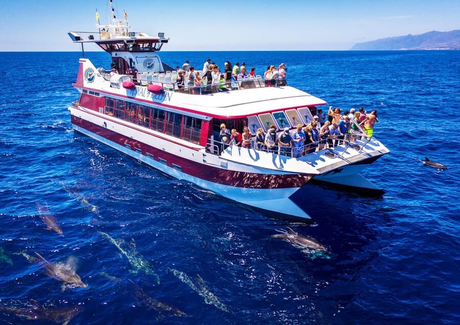 Costa Adeje: Whale & Dolphin Submarine Vision Mini Cruise - Two hours along Tenerife’s southwest coast