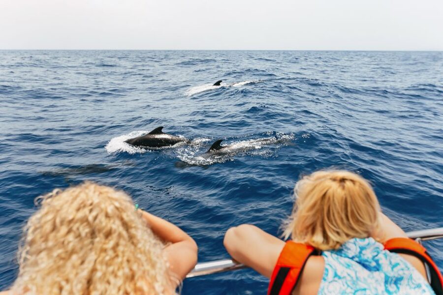 Costa Adeje: Whale Watching Catamaran Tour with Drinks - Leaving Puerto Colon for Tenerife’s Whale Coast