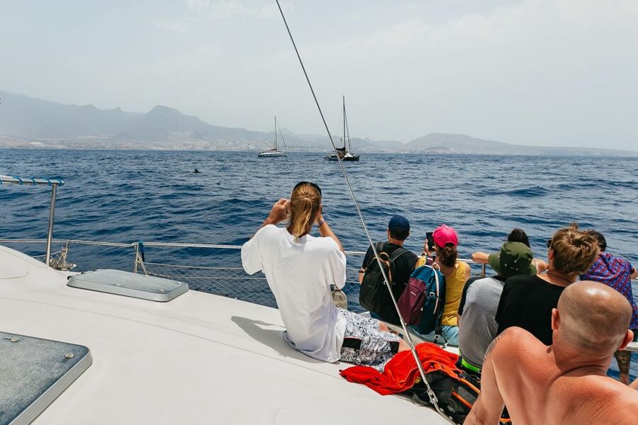 Costa Adeje: Whale Watching Catamaran Tour with Drinks - A Wildlife Trip That Works for Families