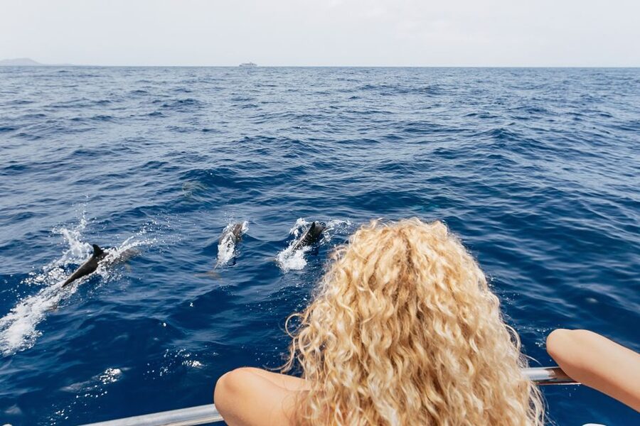 Costa Adeje: Whale Watching Catamaran Tour with Drinks - Is $41 a Fair Price?