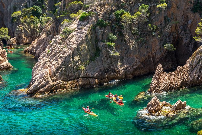 Costa Brava Kayaking and Snorkeling Small Group Tour with Lunch - Snorkeling, swimming, and optional cliff jumps