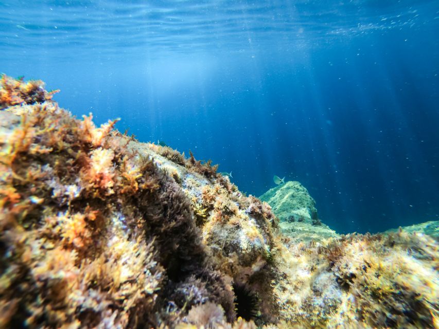 Costa Brava: Sea Caves Kayaking and Snorkeling Tour - The final 40 minutes: more views before returning to Sant Pol