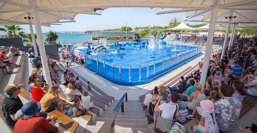 Costa d'en Blanes: Entry Ticket for Marineland Mallorca - What your day at Marineland Mallorca looks like