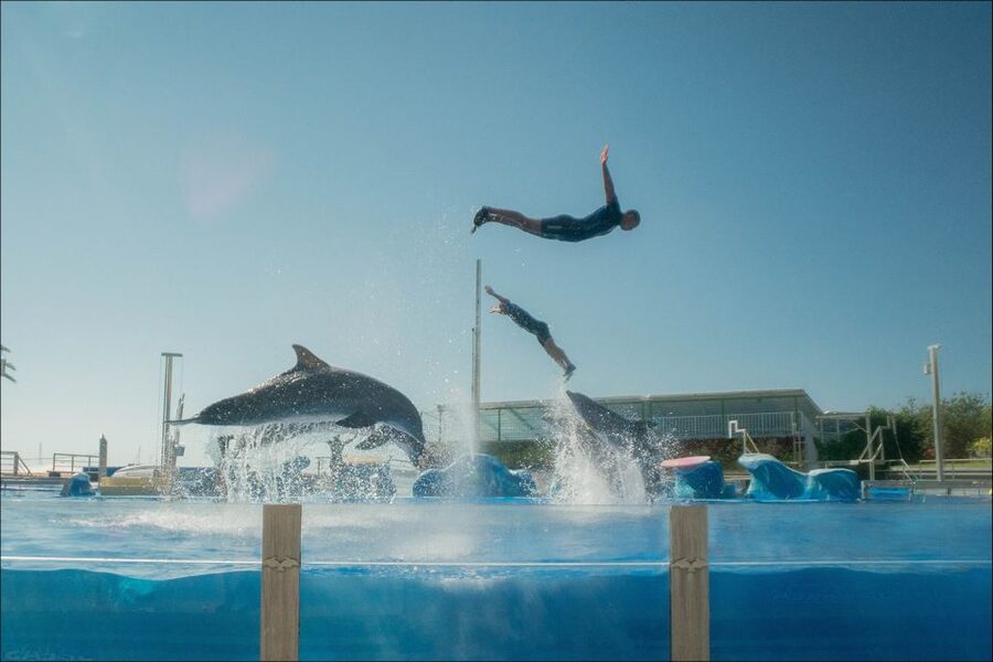 Costa d'en Blanes: Entry Ticket for Marineland Mallorca - Flamingos and Humboldt penguins provide quieter animal stops