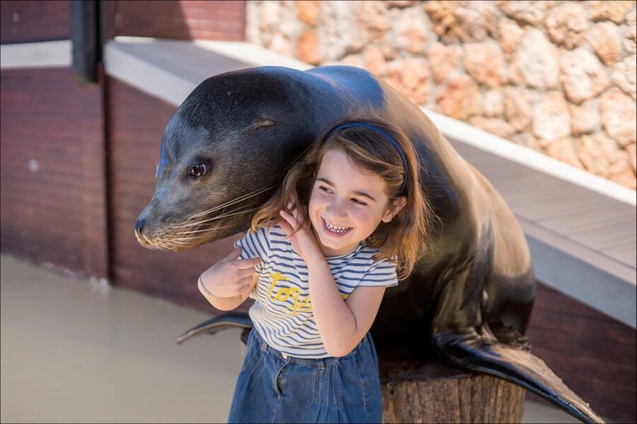 Costa d'en Blanes: Entry Ticket for Marineland Mallorca - Is the $35 admission good value?