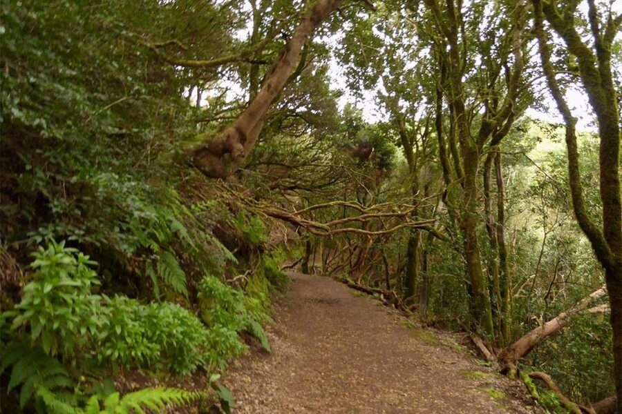 Cruz del Carmen: Hiking in Anaga with Local Food Products - Why Anaga Is Worth a Half-Day