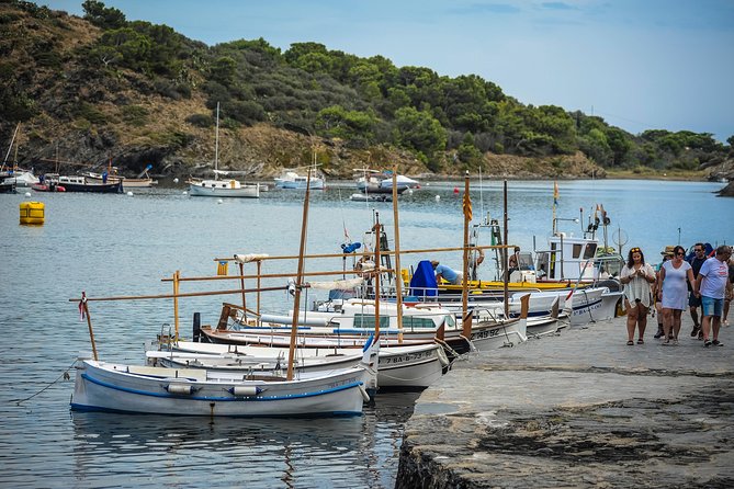 Dali Museum, House & Cadaques Small Group Tour from Barcelona - Who should book this experience