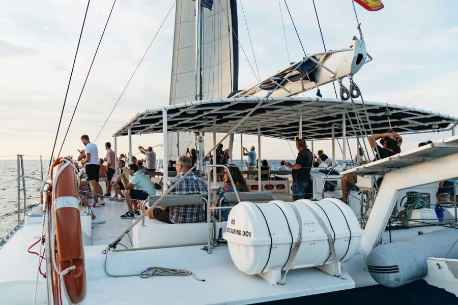 Dénia: Daytime or Sunset Catamaran Cruise - What the High Rating Tells You