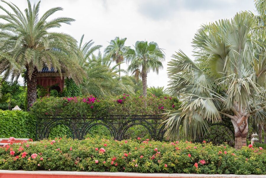 Denia: L'Albarda Garden Entry Ticket - Who will enjoy L’Albarda most?