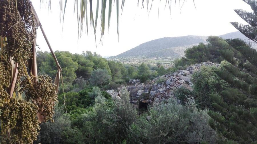 Denia: L'Albarda Garden Entry Ticket - The café, refreshments, and special events