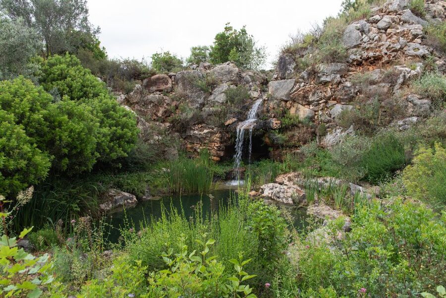 Denia: L'Albarda Garden Entry Ticket - Arrival and the walk to the main house