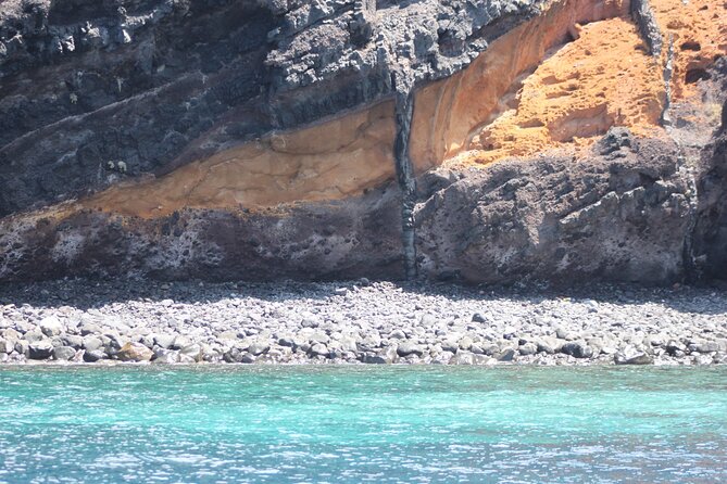 Dolphin and Whale Sailing Tour in Los Gigantes - Looking for pilot whales and dolphins