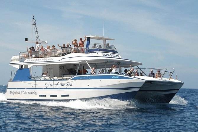 Dolphin and Whales watching cruise from Puerto Rico de Gran Canaria - The Spirit of the Sea and its glass-bottom view
