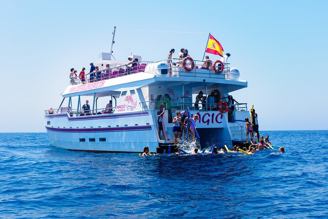 Dolphin Sightseeing Boat Tour from Benalmadena - Rough water and seasickness concerns