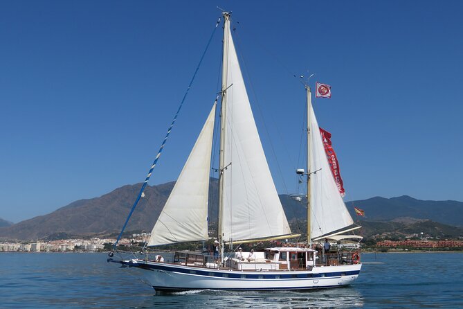 Dolphin Watching Adventure in Estepona Bay - The first search for dolphins
