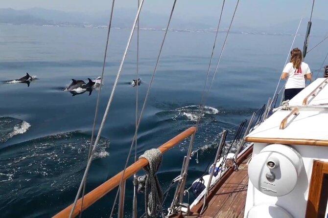 Dolphin Watching Adventure in Estepona Bay - Who will enjoy this sailing most