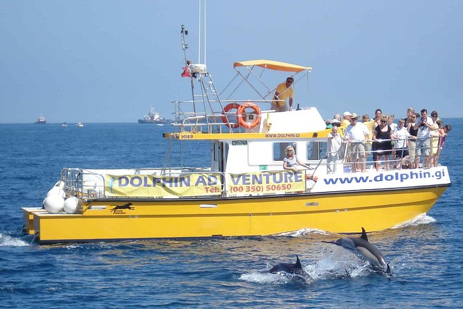 Dolphin Watching Excursion in Gibraltar - Setting out from Ocean Village