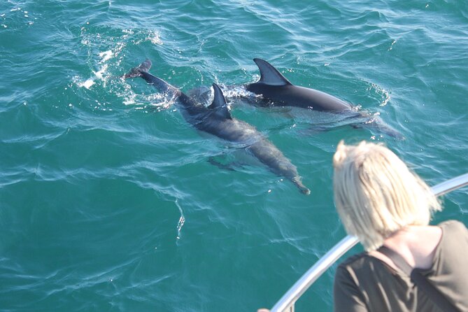 Dolphin Watching in Gibraltar Dolphin Safari V.I.P - Leaving Marina Bay for the Strait