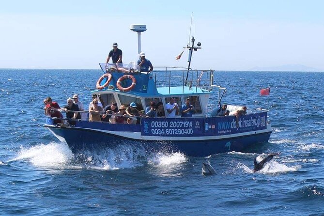 Dolphin Watching in Gibraltar Dolphin Safari V.I.P - Who should book the Dolphin Safari?