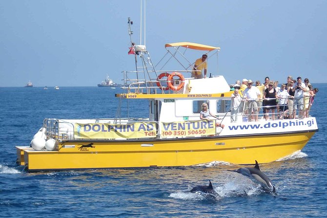Dolphin Watching in Gibraltar & Fast Track Priority Cable Car - How to plan the day wisely