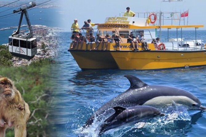 Dolphin Watching in Gibraltar & Fast Track Priority Cable Car - The 75-minute dolphin cruise