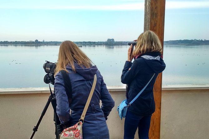 Donana National Park and El Rocío: Guided Tour from Seville - Why Doñana makes a worthwhile day from Seville