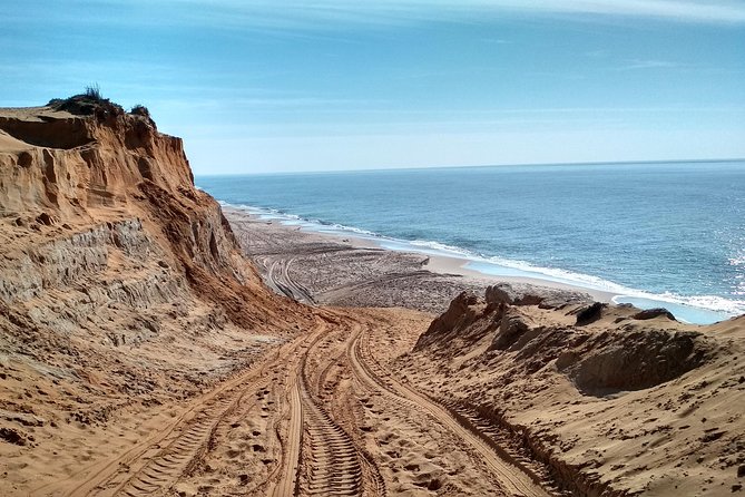 Donana National Park and El Rocío: Guided Tour from Seville - El Rocío, a sandy village with a famous hermitage