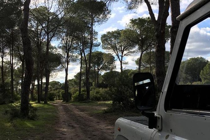 Donana National Park and El Rocío: Guided Tour from Seville - Lunch and the Matalascañas coast