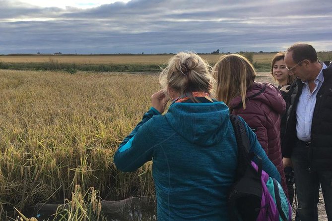 Donana National Park and El Rocío: Guided Tour from Seville - The 4x4 return through Doñana