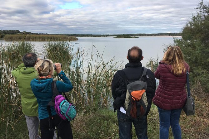 Donana National Park and El Rocío: Guided Tour from Seville - Vehicles, seating, and the small-group promise