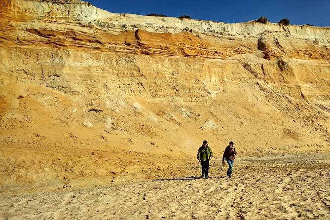 Donana National Park and El Rocío: Guided Tour from Seville - Dehesa de Abajo and the white stork colony