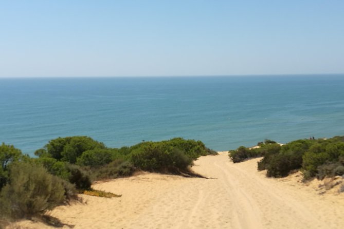 Donana National Park: Guided Day Tour from Seville - What the $95.34 price buys you