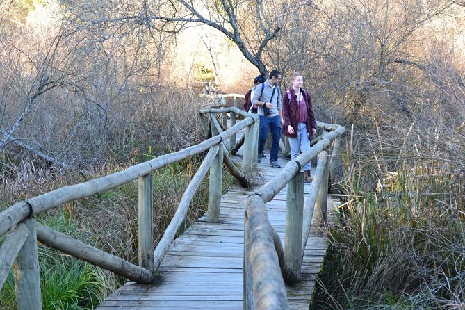 Donana National Park: Guided Day Tour from Seville - Who should book this day trip
