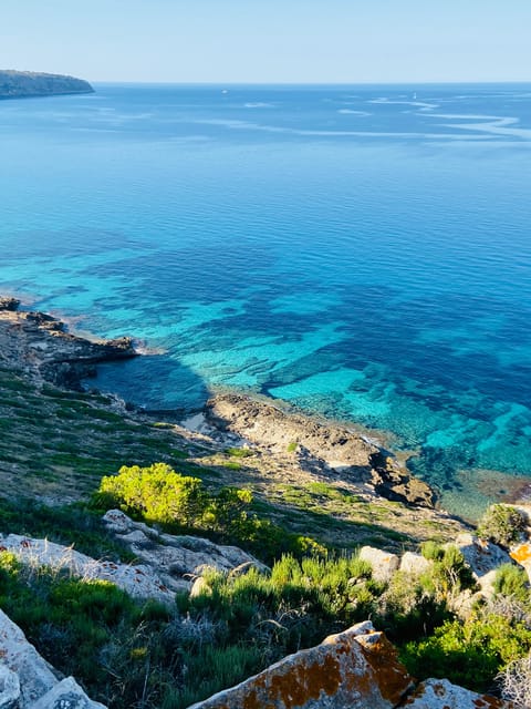 El Arenal: Private Mallorca Boat Rental (No License Needed) - Is the El Arenal boat rental worth booking?
