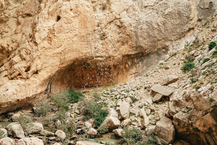 El Chorro: Caminito del Rey Guided Tour with Shuttle Bus - Walking the 3-kilometer footbridge