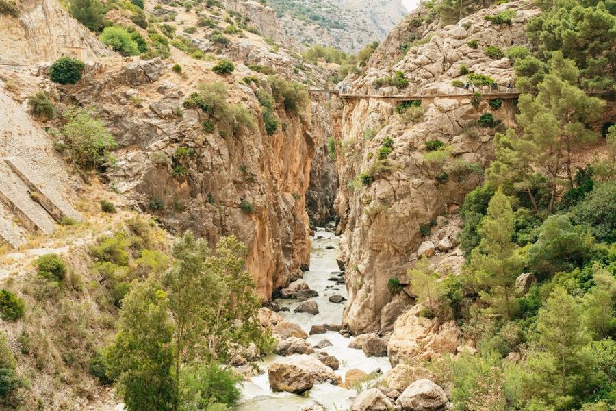 El Chorro: Caminito del Rey Guided Tour with Shuttle Bus - What the four-hour schedule really means