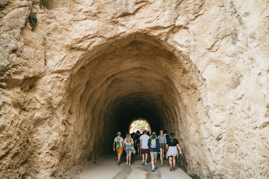El Chorro: Caminito del Rey Guided Tour with Shuttle Bus - Price and value at $44
