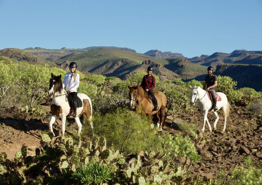 El Salobre: Horse Riding Adventure with Transfer Options - Key points to know before booking