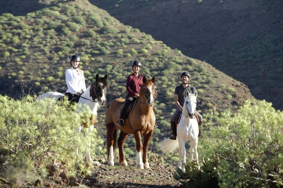 El Salobre: Horse Riding Adventure with Transfer Options - Why this ride gives you a different view of Gran Canaria