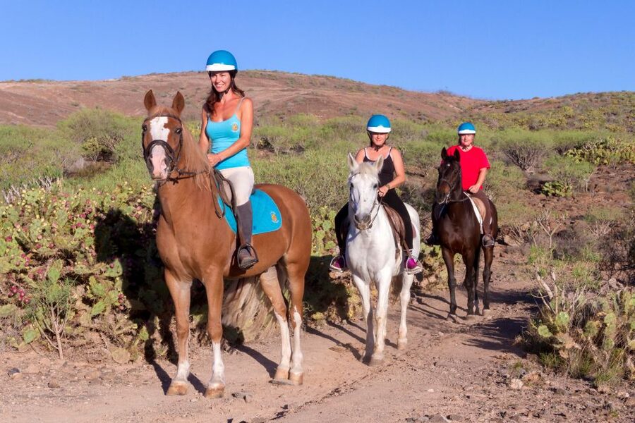 El Salobre: Horse Riding Adventure with Transfer Options - The first trail section: slow riding through volcanic country