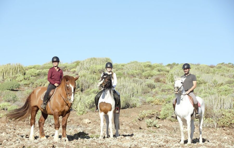 El Salobre: Horse Riding Adventure with Transfer Options - Safety, instruction, and mixed abilities