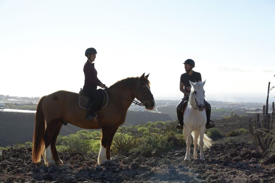 El Salobre: Horse Riding Adventure with Transfer Options - Who will enjoy this most