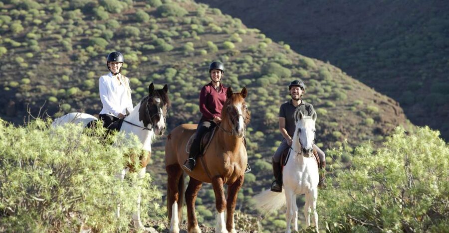 El Salobre: Horse Riding Adventure with Transfer Options - Meeting the horses and getting ready at the ranch