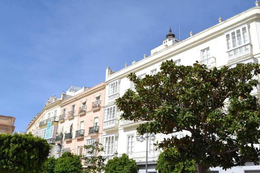 English Cádiz Tour: Walking Tour with Local Guide - Cádiz Cathedral from the outside