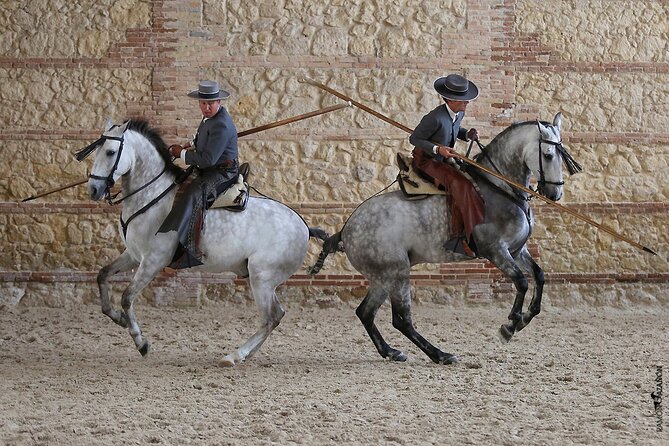 Equestrian Show Royal Stables of Córdoba - Choosing between general and premium seats