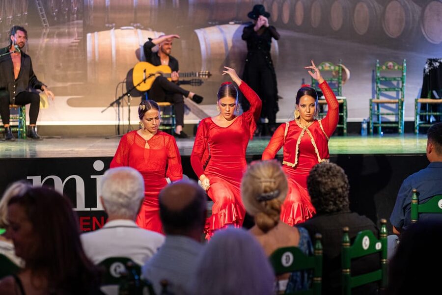 Estepona: Andalusian Flamenco Show Entry Ticket with Drink - What the Estepona flamenco evening is really about