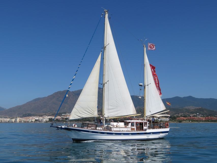 Estepona: Dolphin Watching Sailboat Cruise with Drink - Watching for dolphins in their natural setting