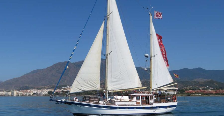 Estepona: Dolphin Watching Sailboat Cruise with Drink - Sailing out across Estepona Bay