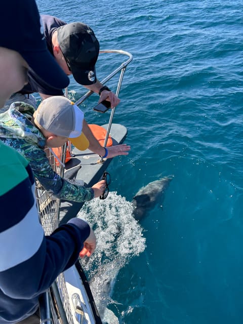 Estepona: Dolphins Searching Sea Cruise with Drink & Snacks - Leaving the Estepona dock