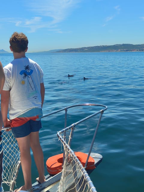 Estepona: Dolphins Searching Sea Cruise with Drink & Snacks - The possible swimming stop